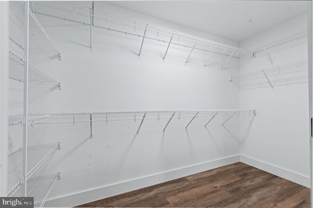 walk in closet featuring dark wood-type flooring