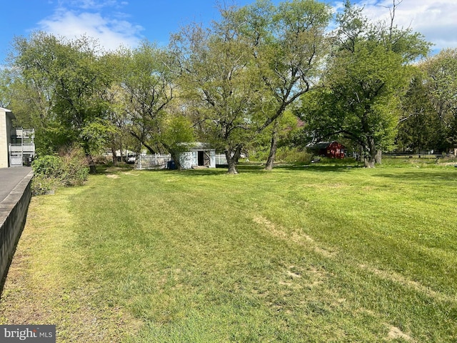 view of yard featuring a storage shed