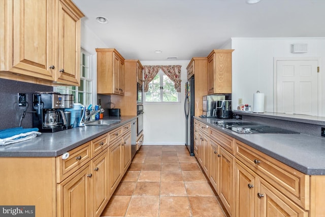 kitchen with sink and black appliances