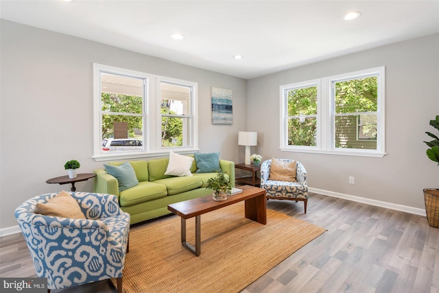 living room with light wood-type flooring