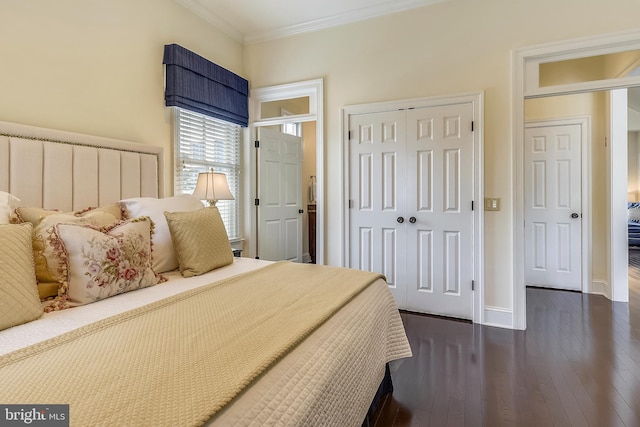 bedroom with multiple closets, dark hardwood / wood-style flooring, and ornamental molding