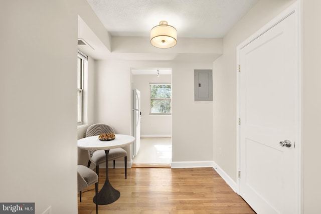 hallway featuring electric panel, light hardwood / wood-style floors, and a textured ceiling