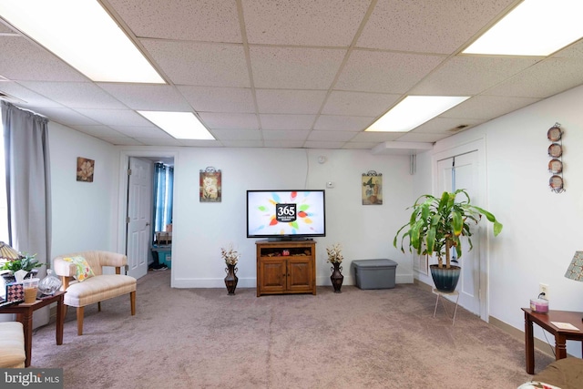 living area featuring carpet flooring and a paneled ceiling