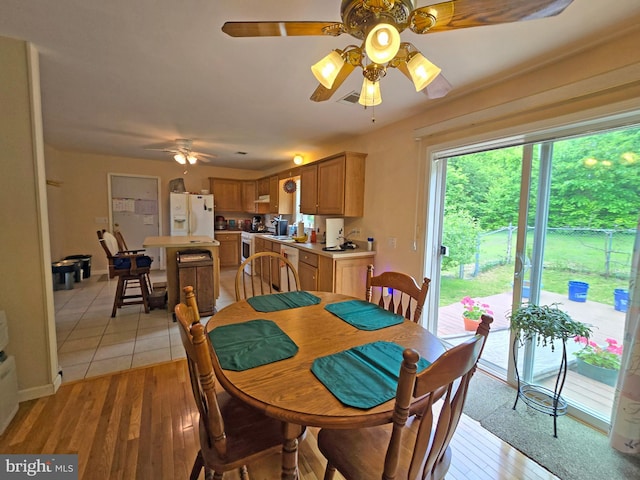 dining area featuring ceiling fan and light hardwood / wood-style floors