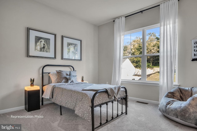 carpeted bedroom with multiple windows