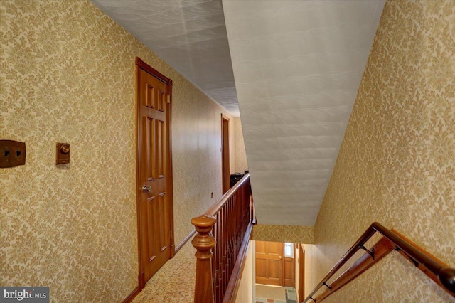 stairway with carpet floors and vaulted ceiling