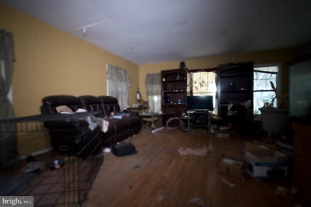 living room with hardwood / wood-style flooring