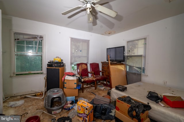 bedroom featuring carpet floors and ceiling fan