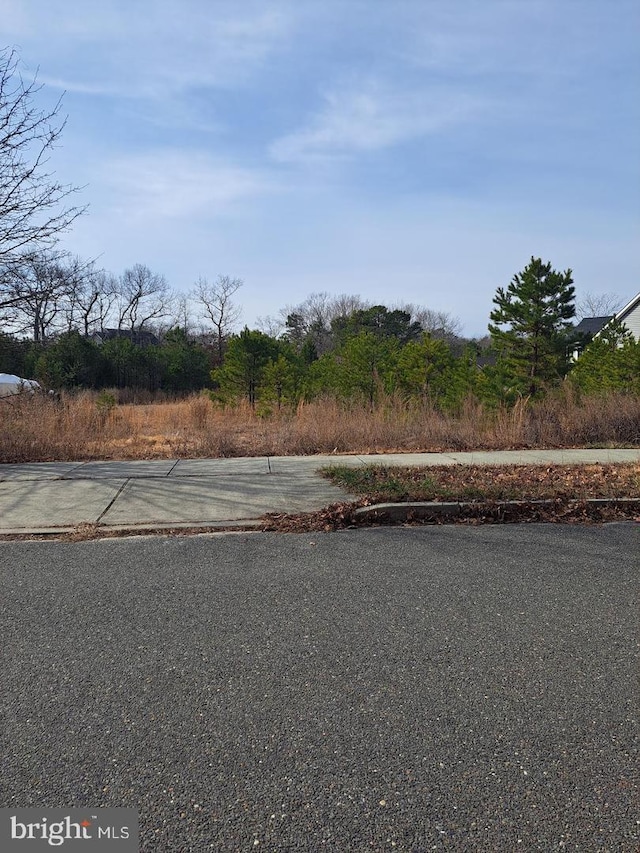 159 Littleworth Rd, Manahawkin NJ, 08050 land for sale