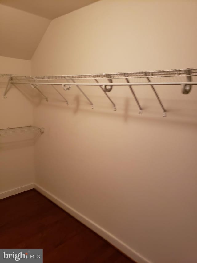 walk in closet featuring hardwood / wood-style floors