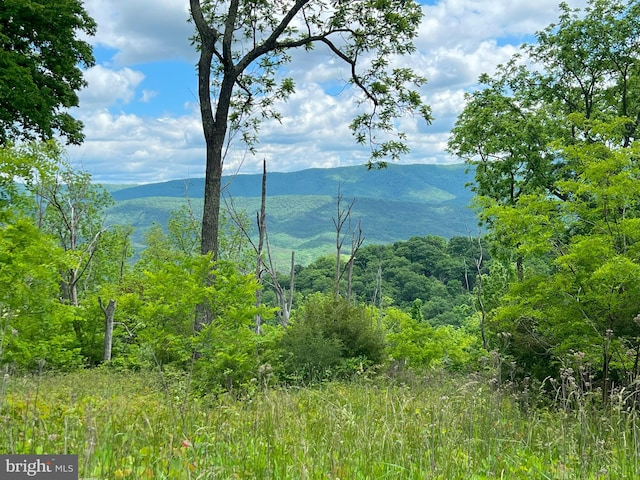 view of mountain feature