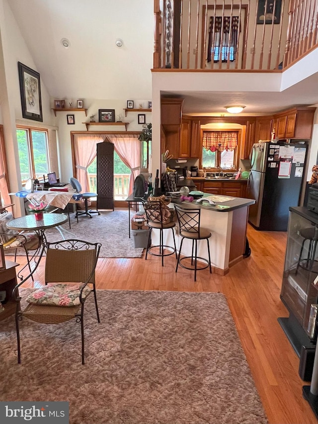 living room featuring light hardwood / wood-style floors, high vaulted ceiling, and a healthy amount of sunlight