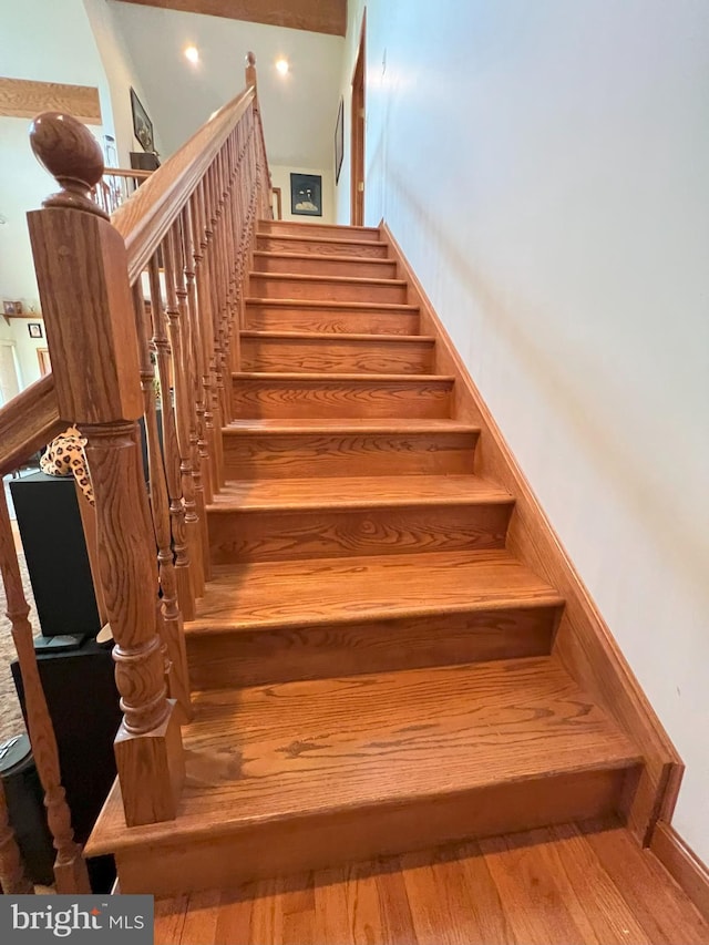 staircase featuring wood-type flooring