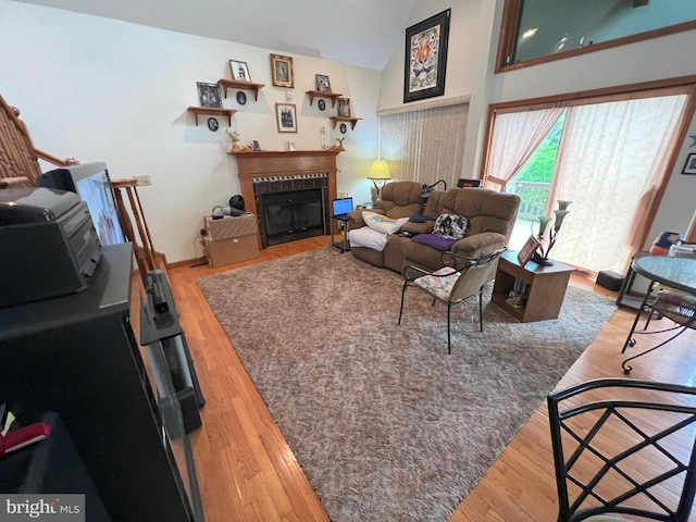 living room featuring hardwood / wood-style floors