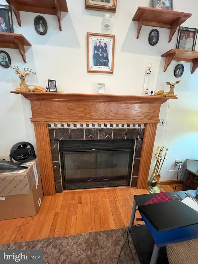 room details with a fireplace and wood-type flooring