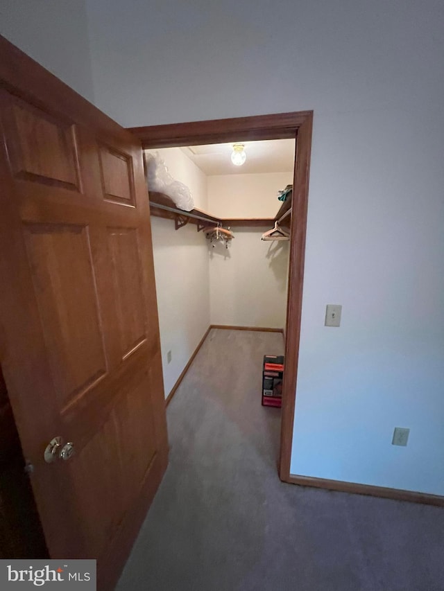 spacious closet with carpet floors