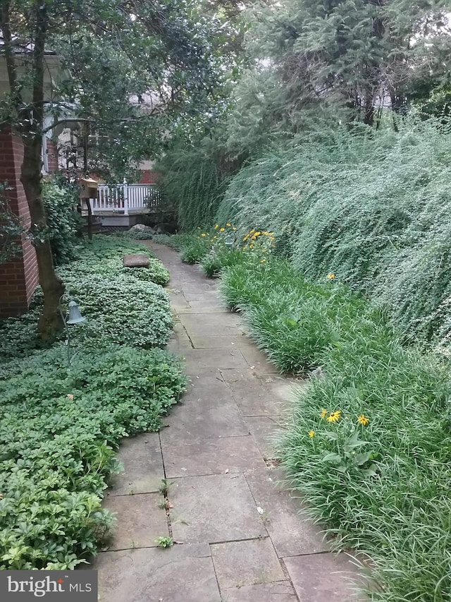 view of yard with a deck