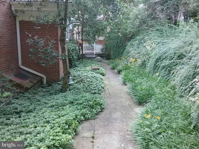 view of yard with a wooden deck