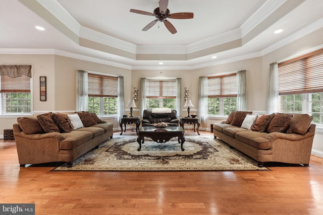 living room with a tray ceiling, a wealth of natural light, and crown molding