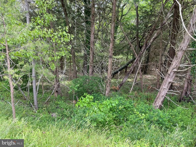 0 Main St, Little Egg Harbor Twp, NJ 08087