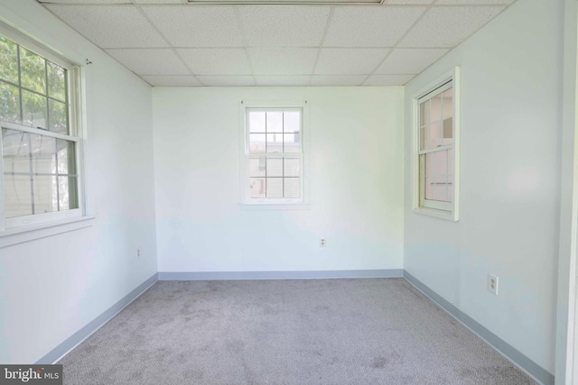 carpeted spare room featuring a wealth of natural light and a drop ceiling