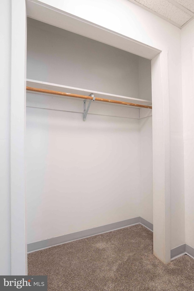 view of closet