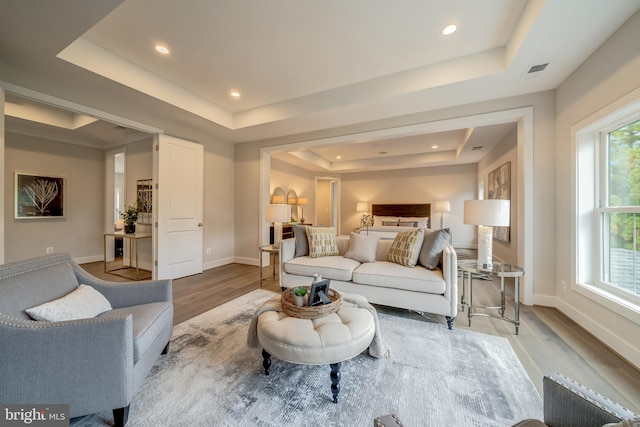 living room featuring light hardwood / wood-style floors and a raised ceiling