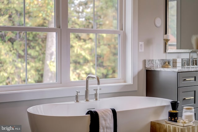 interior details featuring vanity and a washtub