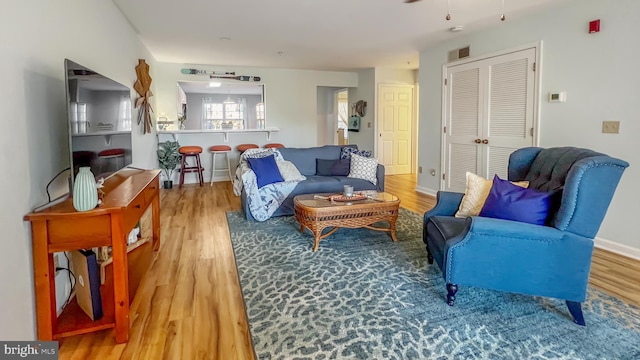 living room featuring wood-type flooring