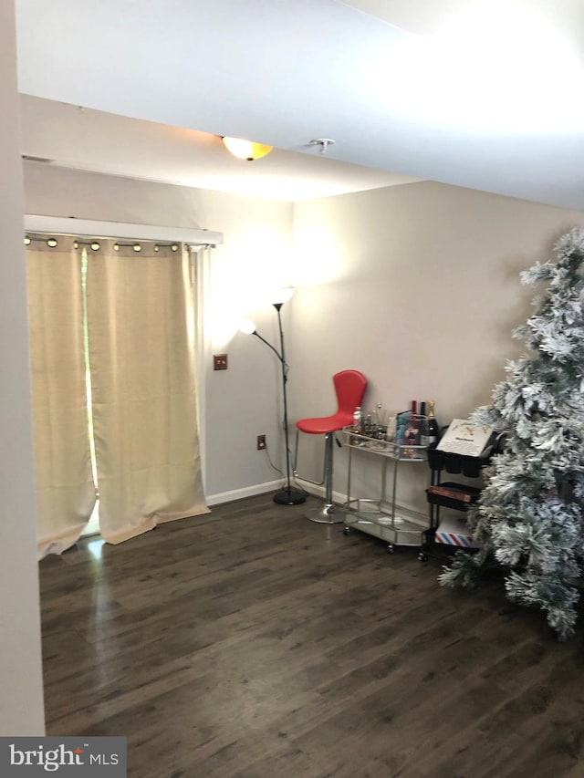 basement featuring dark hardwood / wood-style floors