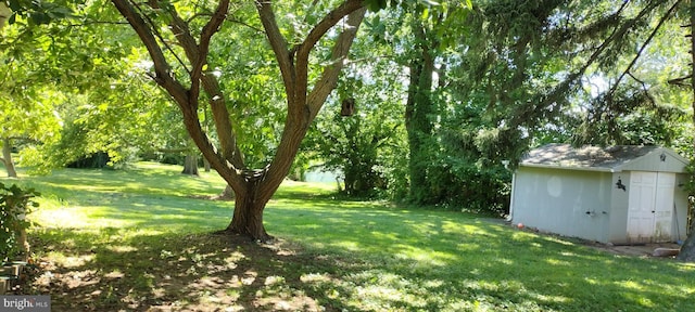 view of yard featuring a storage shed