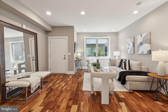 living room featuring hardwood / wood-style floors