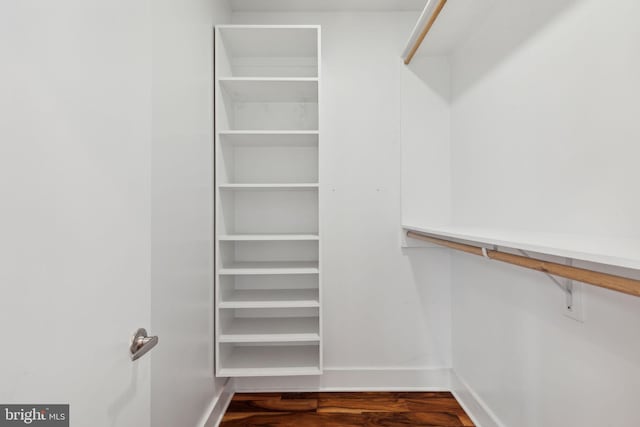 spacious closet featuring dark wood-type flooring