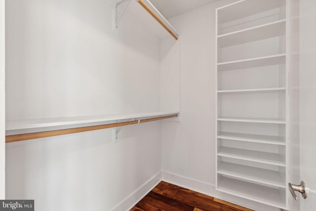 spacious closet featuring dark hardwood / wood-style floors