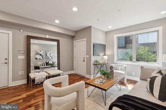 living room featuring hardwood / wood-style floors