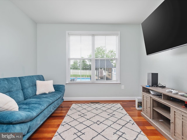 living room featuring hardwood / wood-style floors