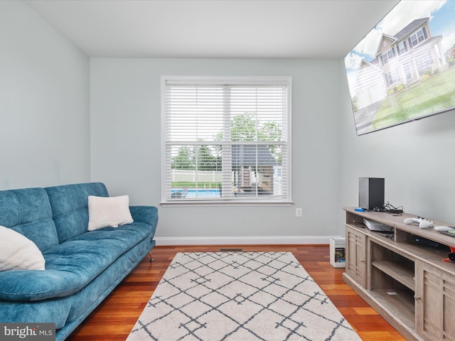 living room featuring wood-type flooring