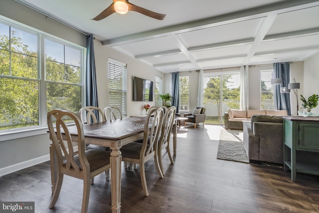 dining space with a healthy amount of sunlight, dark hardwood / wood-style flooring, coffered ceiling, and beam ceiling