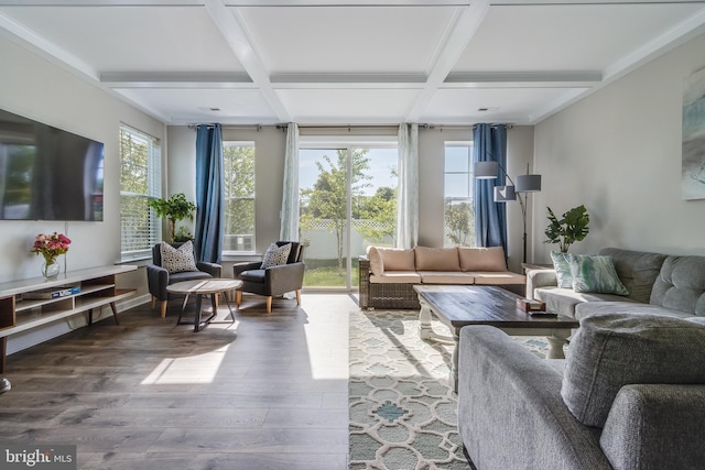 living room with beam ceiling, hardwood / wood-style flooring, and coffered ceiling