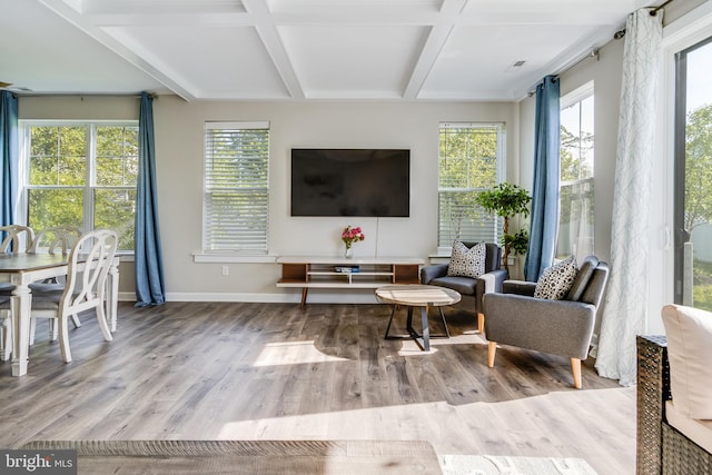 living room with coffered ceiling, a healthy amount of sunlight, and hardwood / wood-style flooring