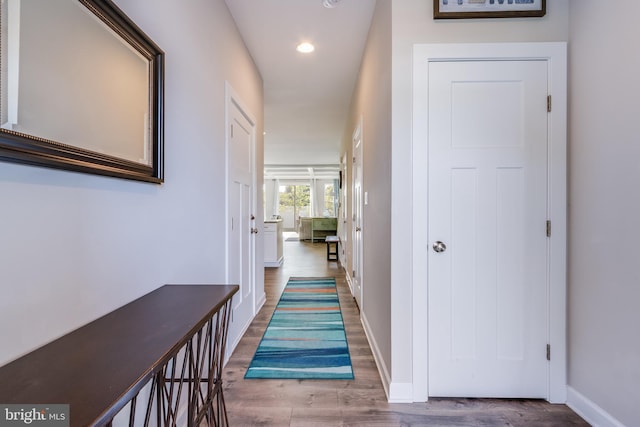 hall featuring dark hardwood / wood-style floors