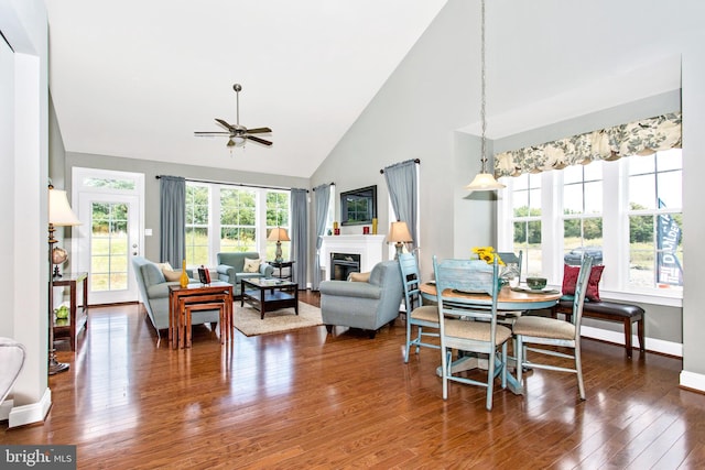 interior space featuring high vaulted ceiling, ceiling fan, and dark hardwood / wood-style flooring