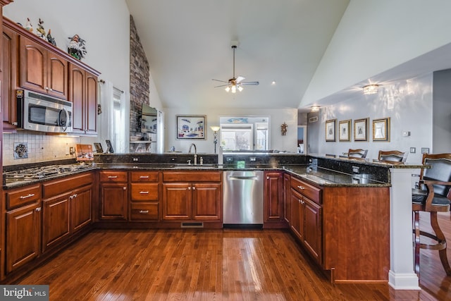 kitchen with high vaulted ceiling, sink, dark wood-type flooring, and stainless steel appliances