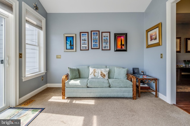 living room featuring carpet flooring