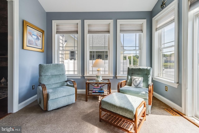 living area featuring carpet