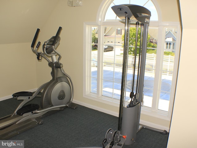 workout room with a wealth of natural light, carpet, and vaulted ceiling