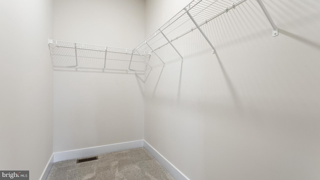 spacious closet with carpet