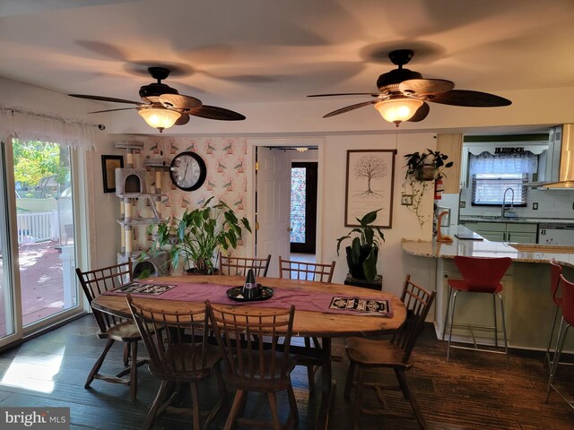 dining space featuring ceiling fan, dark wood-type flooring, and a healthy amount of sunlight