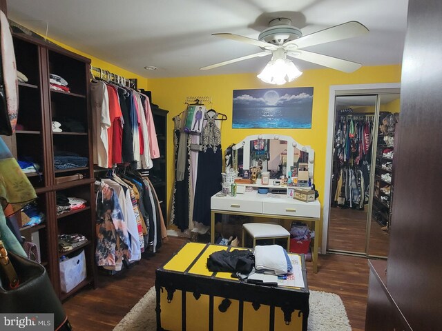 spacious closet with ceiling fan and dark wood-type flooring