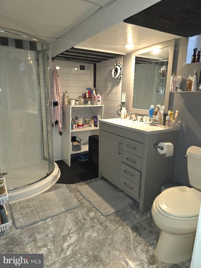 bathroom with vanity, toilet, and walk in shower